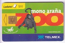 AMERIQUE  TELECARTE / PHONECARD .. MEXIQUE 30$ ZOO SINGE MONKEY CHIP/PUCE