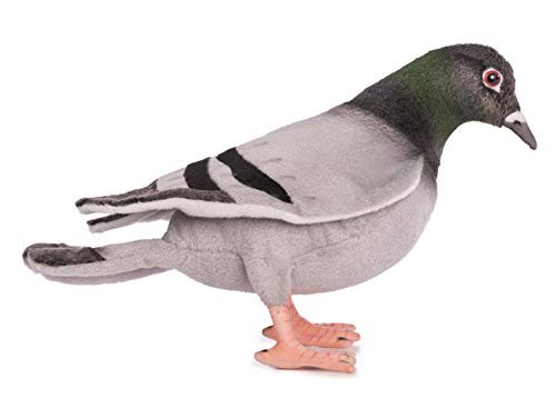 Hansa pigeon 6299 - 29, n°6299