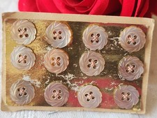 Rare petite plaque boutons anciens en nacre  1 /1,1 cm  lot de 12 n°45