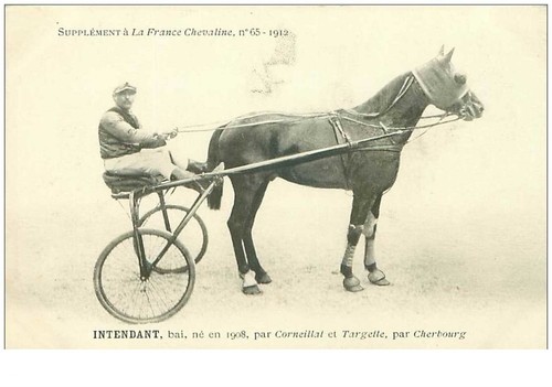 hippisme.n°35970.intendant.ba