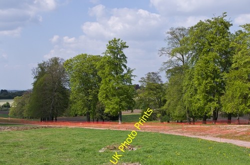 Photo 6x4 northern parkland - 6x4,