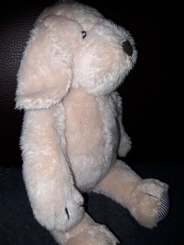 C1/🐻Peluche doudou chien