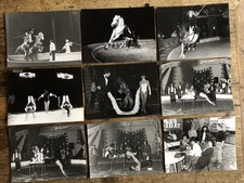 9 photos de cirque