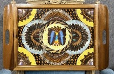 Plateau époque Art Déco en bois marquété avec incrustation d'ailes de papillons