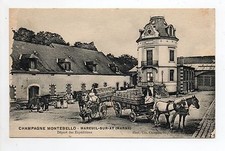 CHAMPAGNE CPA 51 Vins Vignes