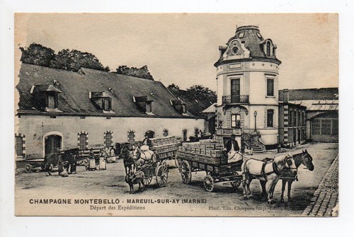 Champagne cpa vins vignes - cpa,