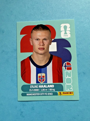 Nor panini wc - -,