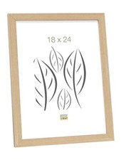 S44CH1 Basic Cadre Photo