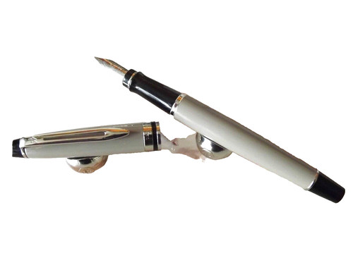 Exceptionnel stylo plume - stylo,