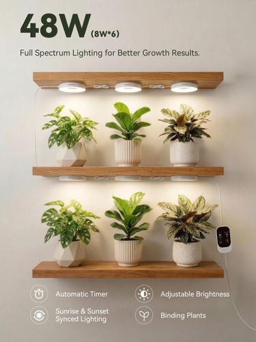 Smart 2pcs grow - 6/4/2pcs,