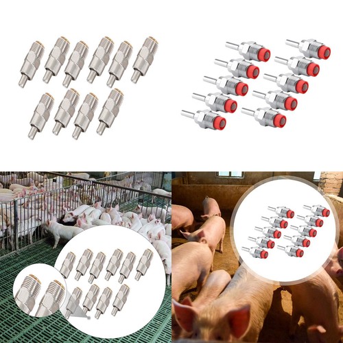 Abreuvoirs tétine pour - tétine,