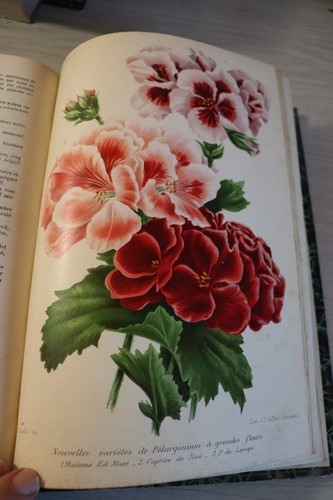 Revue horticole journal - -,
