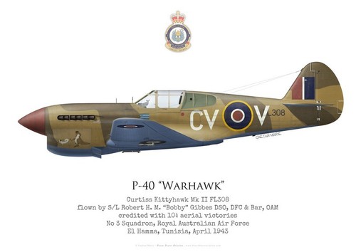 Print kittyhawk s - print, (p-40),