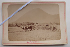 Puy de Dome Paysan et Vache tirant la Charrue Original Albuminé Photo circa 1880
