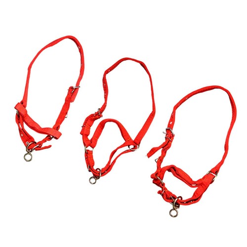 Licol entraînement corde - licol, en