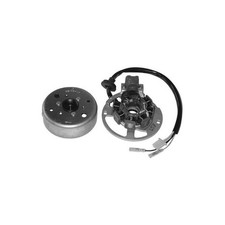 FLYWHEEL ROTOR STATOR MBK