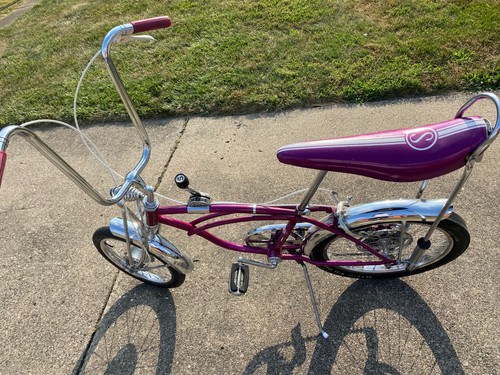 Custom schwinn sting - ray, grape