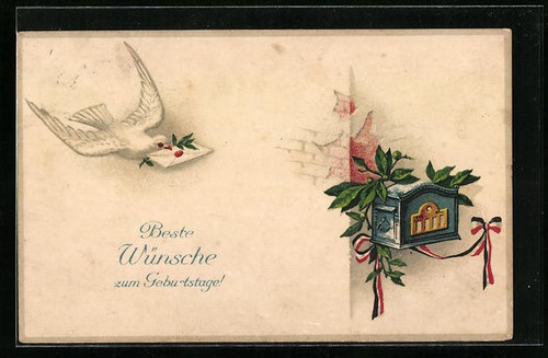 Pigeon voyageur vole avec