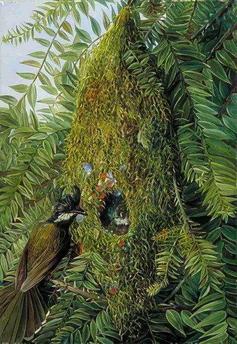 Marianne north nest the - nest,