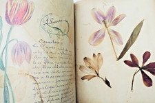 herbier 14 planches & 17