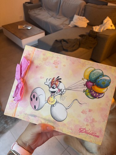 Rare carnet diddlina année - rare,
