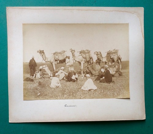 Grande photo albumine ancienne - photo,