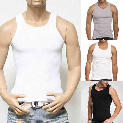Musculation fitness gym - musculation,