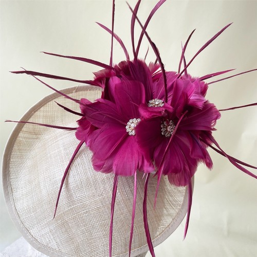 Oie plume fleur - plume,