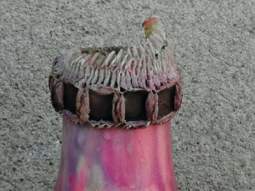 Vase bouteille design col - bouteille,