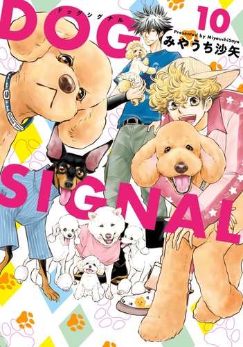 Saya miyauchi dog signal - saya,