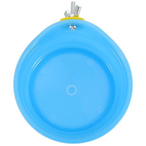 Pour perruche calopsitte - perruche,