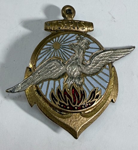 Insigne regiment - 15°,