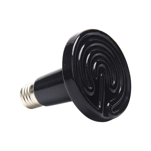 Reptiles amphibiens lampes - reptiles,