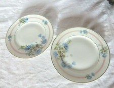- PORCELAINE DE LIMOGES  D.R.B GRAND 2 PLATS A BISCUIT DECOR FLORALE EMAILLE TTB