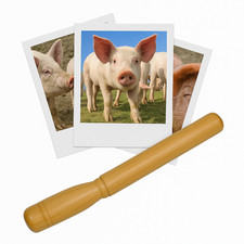 Appeau - Animaux - Cochon -
