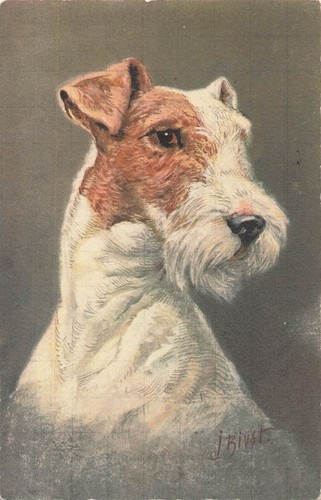 Illustree portrait chien - cp,