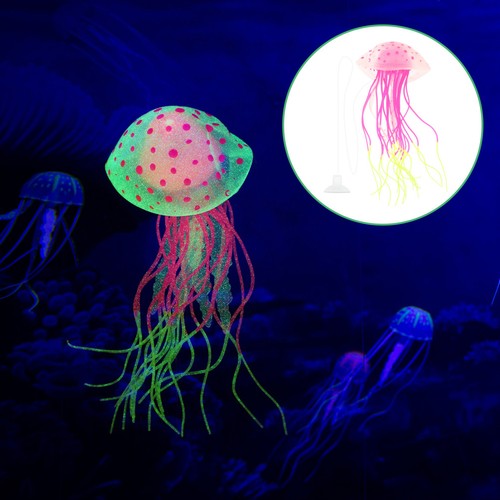 Aquariophilie decoration - aquariophilie,