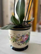 French Porcelain Jardiniere or Cache Pot