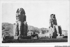 AVKP8-0486-EGYPTE - THEBES - The famous colossi of memnon representing - The k