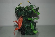 M Racine & Plantes Aquarium