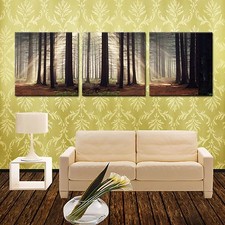 SUNRAY&TREES ready to hang 3