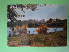 Carte postale du Loiret 45 GF la forêt