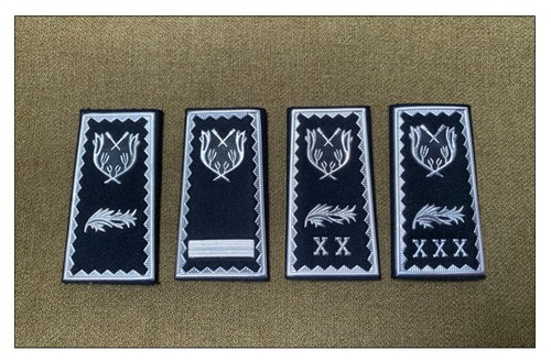 Insignes afrique gendarmerie - insignes,
