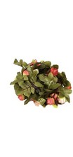 2M 30LED Plastic Rose Green