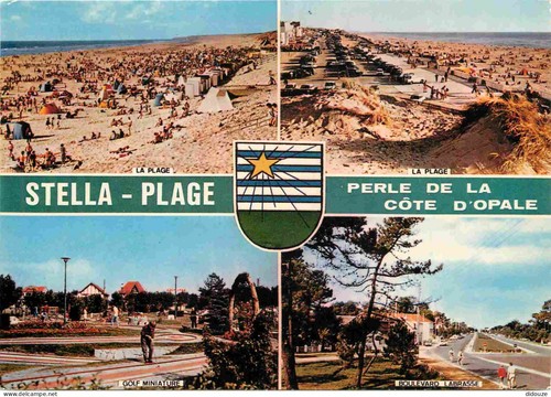 Carte postale stella - carte,