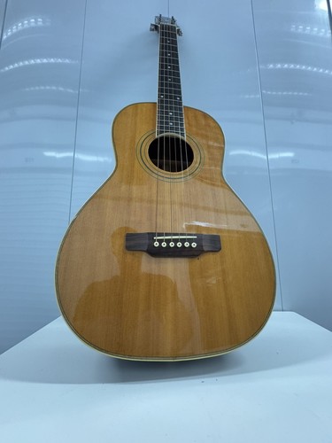 Epiphone blues master - epiphone,
