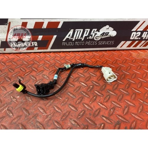 Faisceau moteur triumph 675 - moteur triumph,