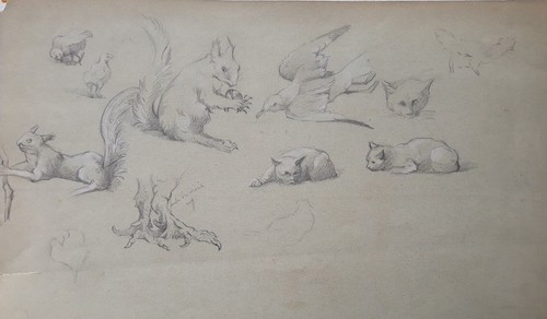 Dessin ancien xixème etudes - -,