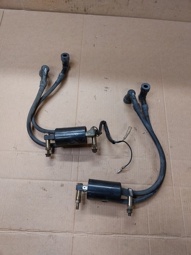 Paire bobine allumage - paire,