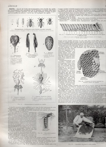 Larousse agricole 1921 - larousse, ©1921-